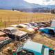 Illustration for article titled This Secret 340-Car Collection In Canada Is Up For Grabs